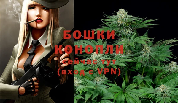 шишки Абдулино