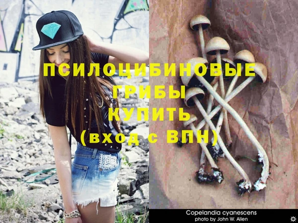 марихуана Абаза