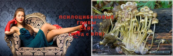 шишки Абдулино