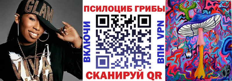 Псилоцибиновые грибы GOLDEN TEACHER  купить наркотик  Чапаевск 